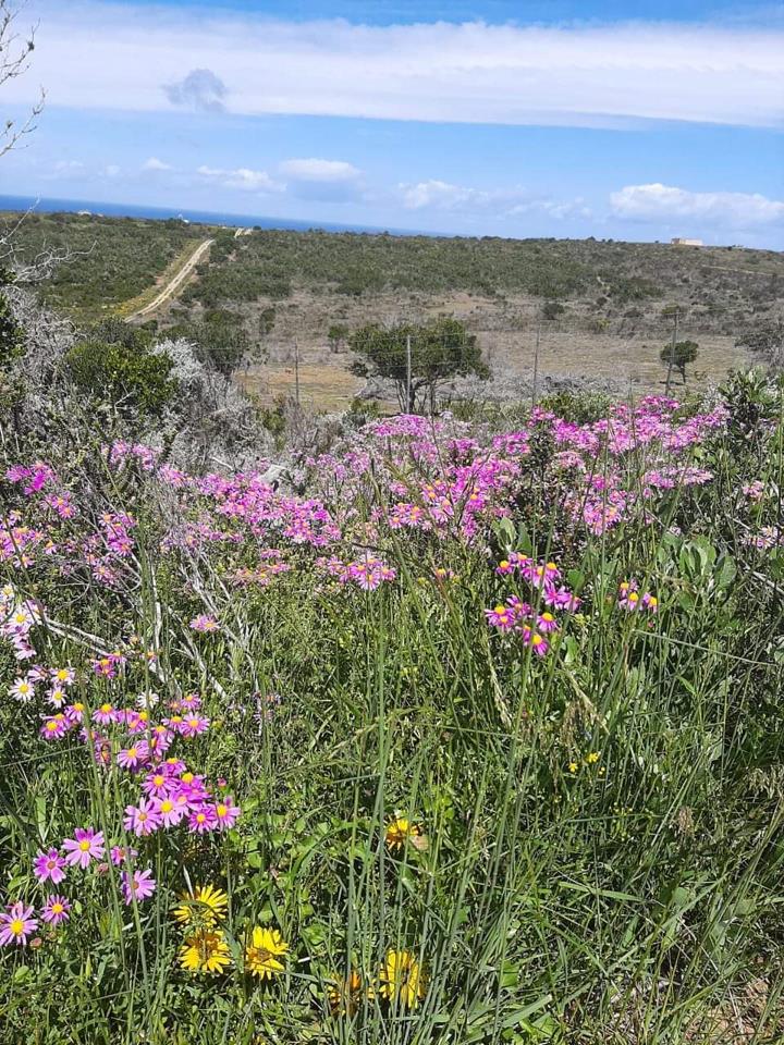 0 Bedroom Property for Sale in Stilbaai Rural Western Cape